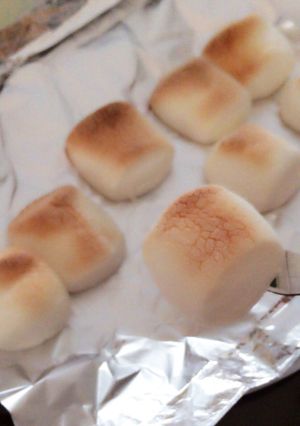 超簡単☆焼きマシュマロ-レシピのメイン写真
