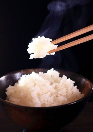 ステルスご飯-レシピのメイン写真