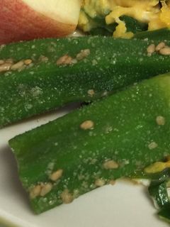 簡単!オクラの胡麻和え☆材料3つ☆-レシピのメイン写真