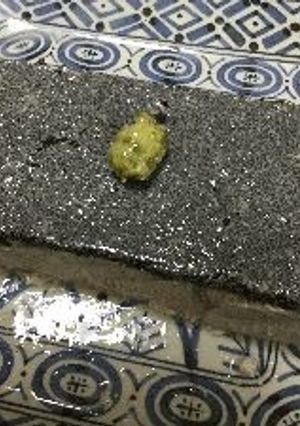 黒ごま入りカンタン豆腐-レシピのメイン写真
