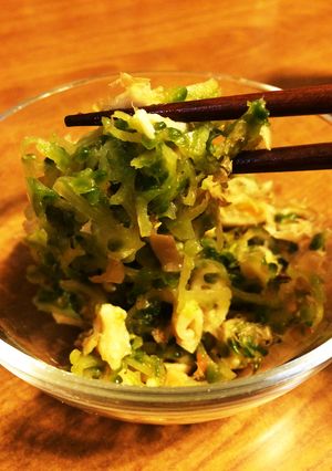 ゴーヤの梅皮和え-レシピのメイン写真