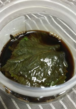 大葉の醤油漬け-レシピのメイン写真