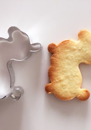 あんな形も！型から作れる！型抜きクッキー-レシピのメイン写真