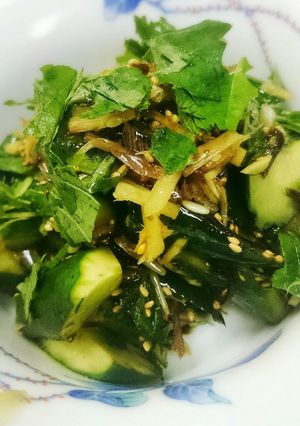 夏野菜たっぷりのきゅうりの浅漬け-レシピのメイン写真