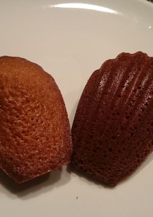ほうじ茶のマドレーヌ-レシピのメイン写真
