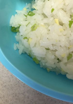 酢飯のしょうが混ぜ☆夏のお弁当に☆-レシピのメイン写真