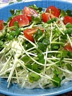 サラダそうめん-レシピのメイン写真