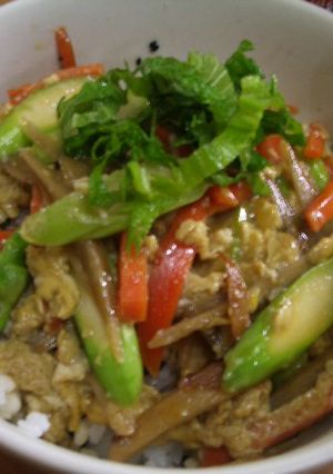 手抜き昼用きんぴら丼★揚げ玉入り★-レシピのメイン写真