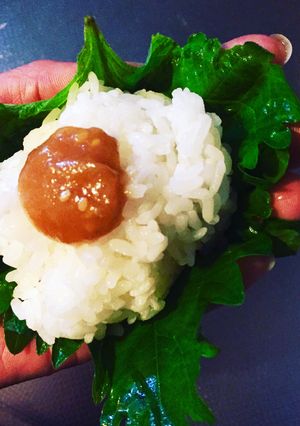 大葉と味噌の香りおむすび-レシピのメイン写真