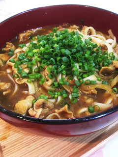 簡単美味しいお昼ご飯*白だしカレーうどん-レシピのメイン写真