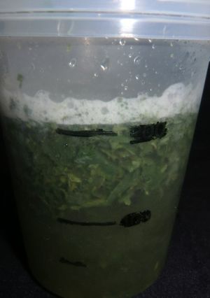シェイカーで作る冷茶玉露-レシピのメイン写真