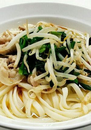 ニラもやし炒めうどん-レシピのメイン写真