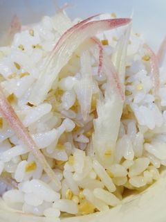 みょうが酢しょうがdeさっぱりご飯-レシピのメイン写真