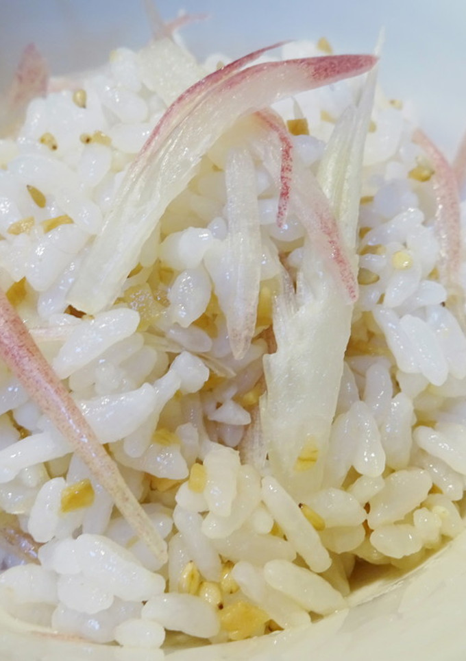 みょうが酢しょうがdeさっぱりご飯-レシピのメイン写真