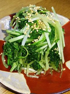 とっても簡単!白だしで水菜の浅漬け♪-レシピのメイン写真