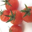 ミニトマトの冷製煮