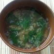 【簡単・ズボラ】ほうれん草と玉葱の味噌汁