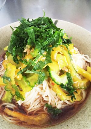 炒めない♪ゴウヤそうめん-レシピのメイン写真