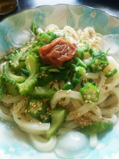 ぱぱっと簡単お昼ご飯☆さっぱり冷うどん♪-レシピのメイン写真