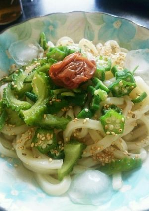 ぱぱっと簡単お昼ご飯☆さっぱり冷うどん♪-レシピのメイン写真