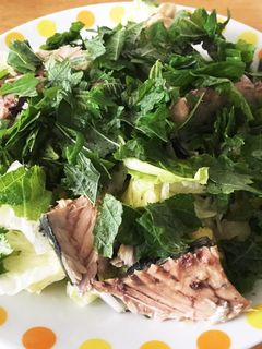 簡単 鯖サラダ-レシピのメイン写真