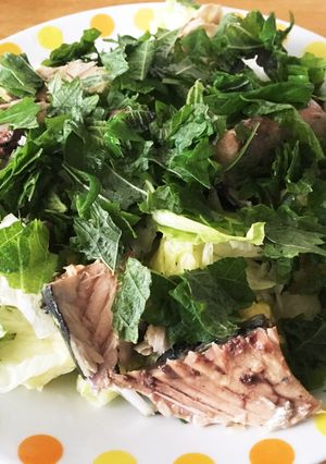 簡単 鯖サラダ-レシピのメイン写真