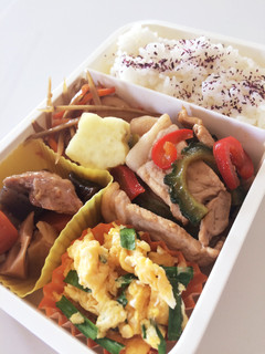 毎日男弁当⁂豚肉とゴーヤの炒め物弁当-レシピのメイン写真