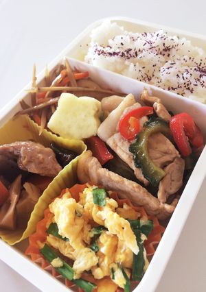 毎日男弁当⁂豚肉とゴーヤの炒め物弁当-レシピのメイン写真