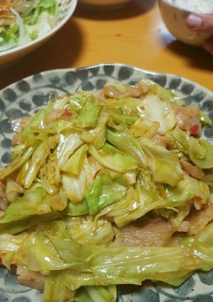 豚バラとキャベツの辛味噌炒め-レシピのメイン写真