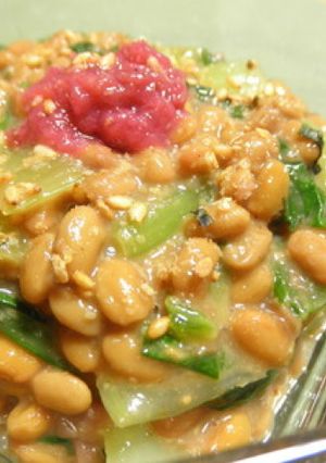 納豆とチンゲン菜の梅和え-レシピのメイン写真