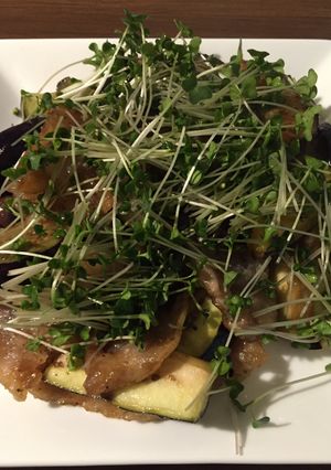 唐沢さん家の茄子と豚肉の味ぽん炒め-レシピのメイン写真
