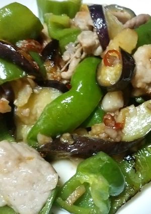 茄子のスタミナ辛子炒め〜つまみに最高！-レシピのメイン写真