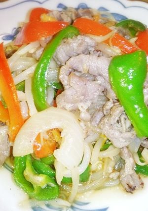 塩ジンギスカン-レシピのメイン写真