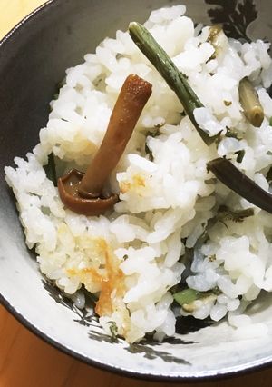 ダイエット？☆白だし山菜ご飯-レシピのメイン写真
