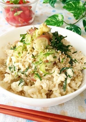 薬味たっぷり♪冷奴丼-レシピのメイン写真