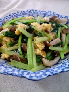タイ風小松菜とシメジの炒め物-レシピのメイン写真