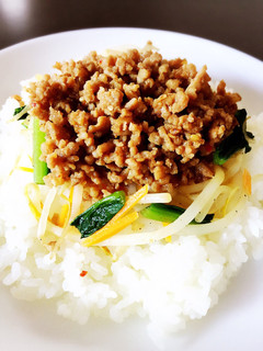 節約!簡単でおいしい挽肉丼-レシピのメイン写真