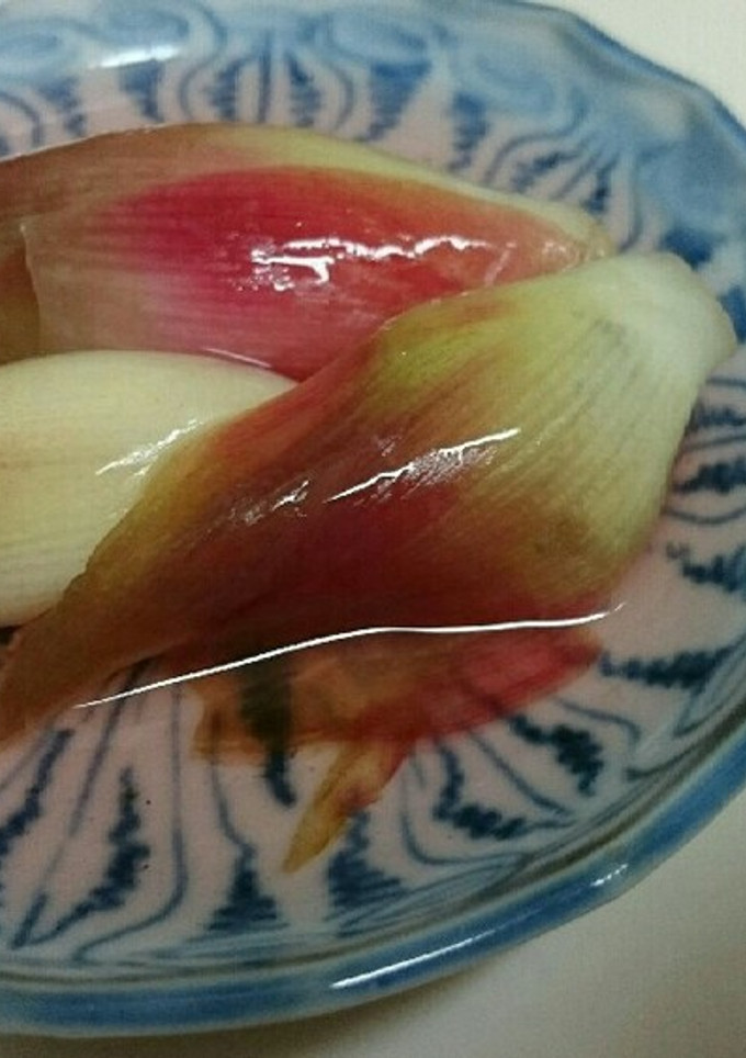 みょうがの浅漬け-レシピのメイン写真