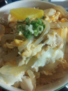 親子丼(血管プラークダイエット食869)-レシピのメイン写真