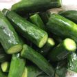 きゅうりの甘酢漬け(1kg)