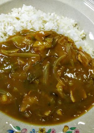 ｺﾞｰﾔ入り夏野菜ｶﾚｰ-レシピのメイン写真