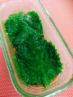 夏バテ防止! 大葉にんにく醤油漬け!-レシピのメイン写真