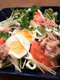 サラダうどん-レシピのメイン写真