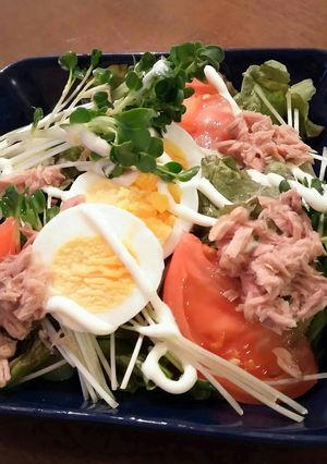 サラダうどん-レシピのメイン写真