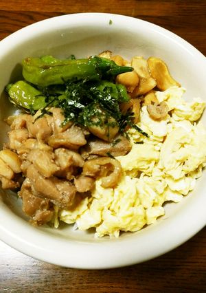 パパっと家にある材料で！照り焼きチキン丼-レシピのメイン写真