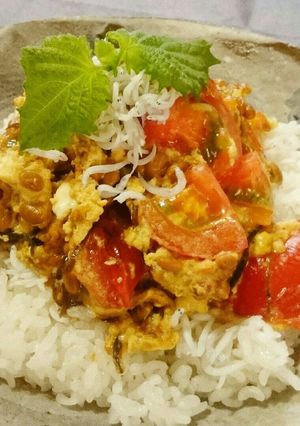 トマ玉納丼-レシピのメイン写真