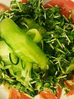 ごま油香るトマトときゅうりの塩だれサラダ-レシピのメイン写真