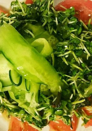 ごま油香るトマトときゅうりの塩だれサラダ-レシピのメイン写真