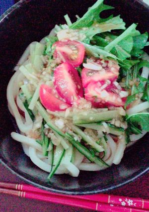 冷やしピリ辛うどん-レシピのメイン写真