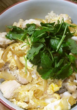 ガーコさんの親子丼:時短簡単なのに美味!-レシピのメイン写真